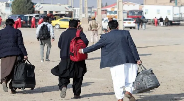 ضرب‌العجل عوامل قضائی برای اتباع بیگانه در کهگیلویه‌و‌بویراحمد