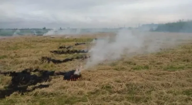 نابودی زمین‌های کشاورزی باشت