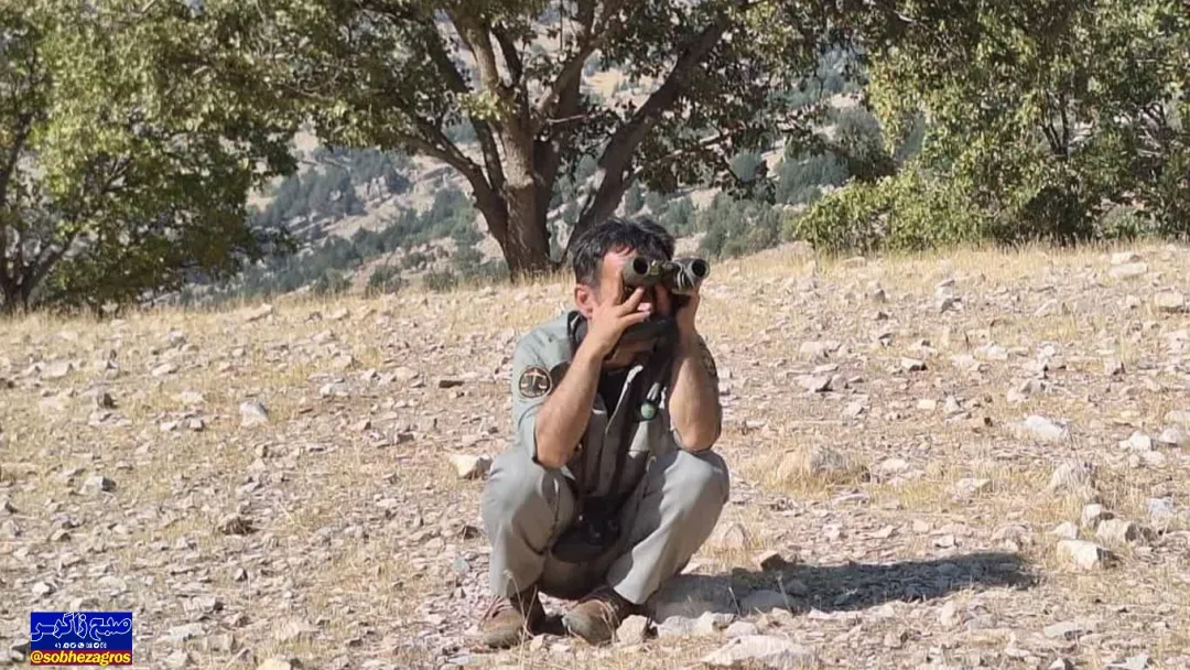 آغاز سرشماری حیات‌وحش شهرستان بهمئی