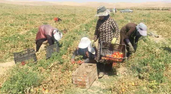 رنج بی‌پایان زنان کارگر فصلی در باشت