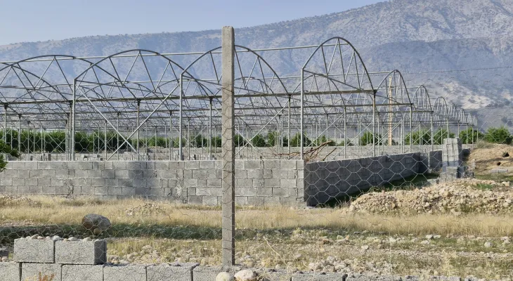 وعده‌ای بلاتکلیف به‌ نام گلخانه هیدروپونیک باشت