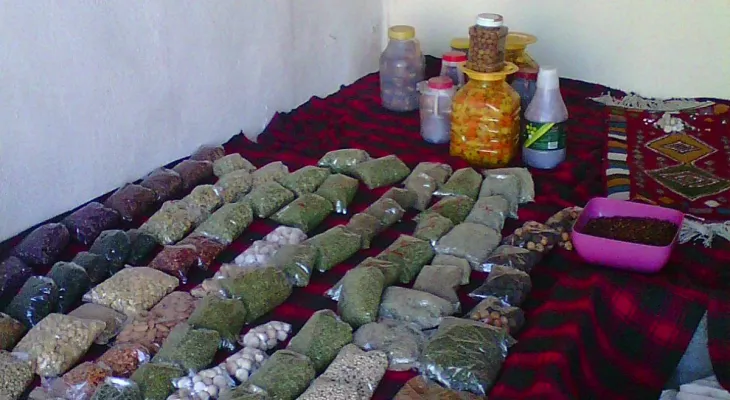 اراده بانوی باشتی در راستای اقتصاد مقاومتی