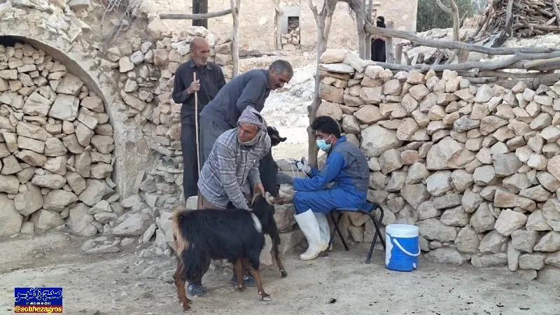 برگزاری اردو‌ی‌جهادی دامپزشکی در منطقه محروم پهنوک بهمئی