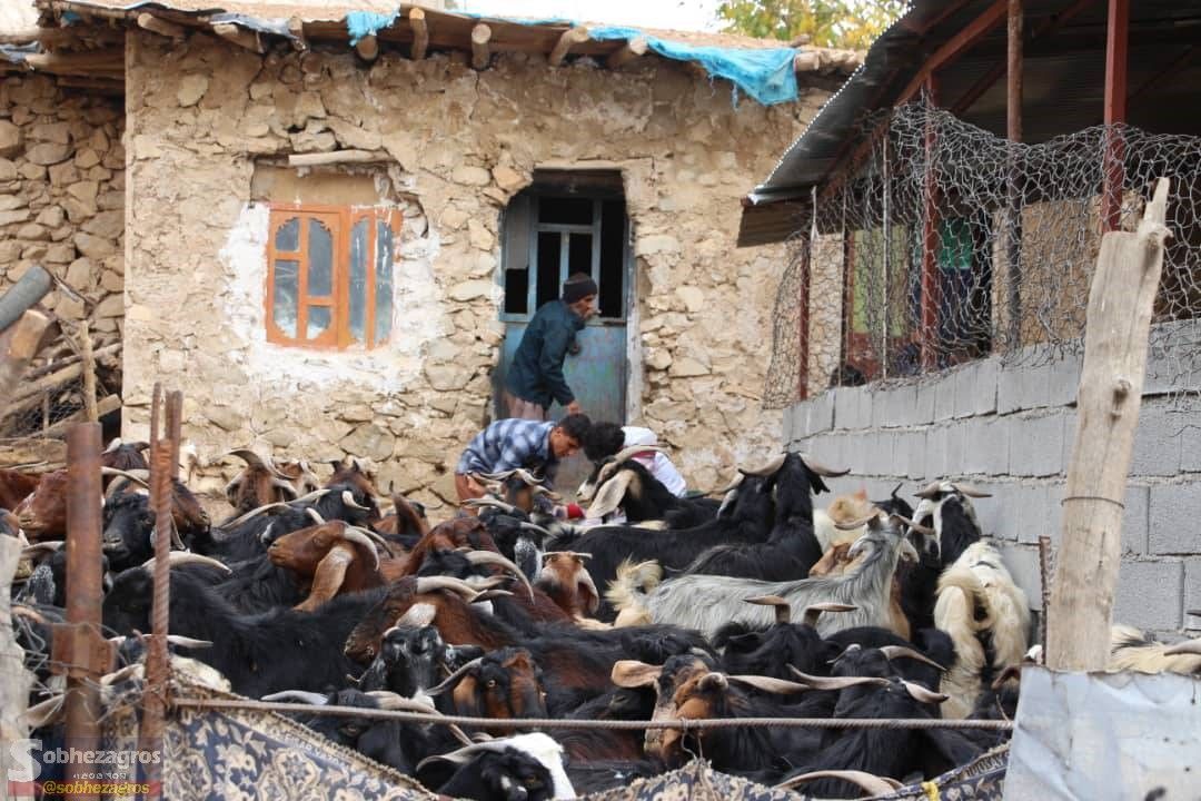 اعزام گروه جهادی بسیج کشاورزی به مناطق محروم