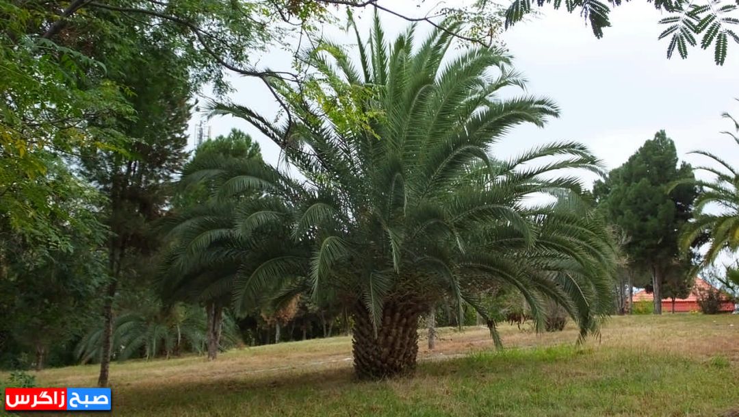 یک روز پاییزی در «پارک لاله» گچساران