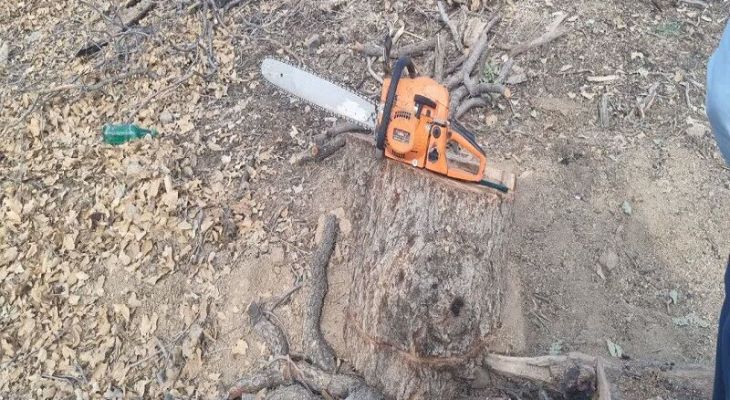 تقویت مبارزه جدی با سودجویان  در کهگیلویه و بویراحمد