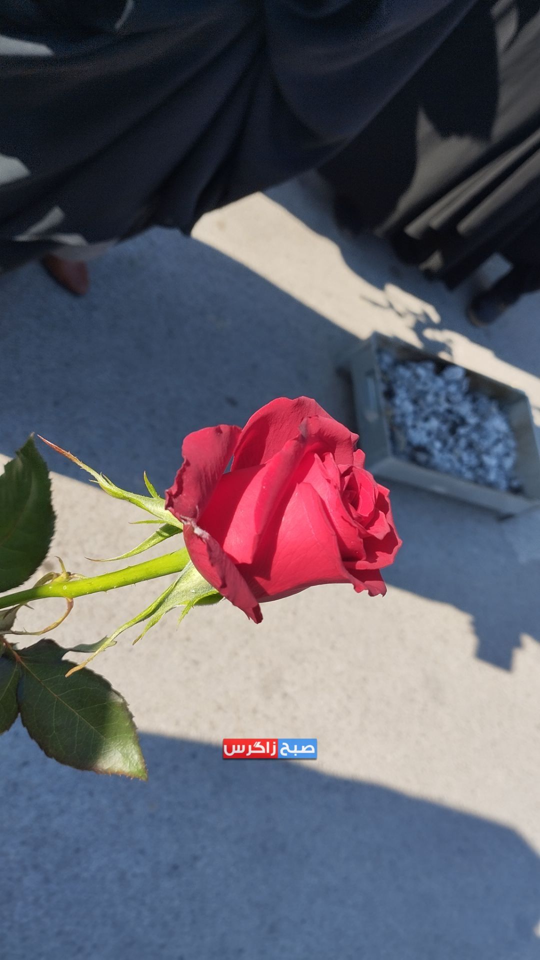 استقبال مردم «بوستان» از شهدای خوشنام+تصاویر