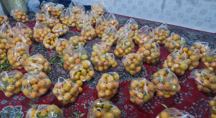 توزیع بسته‌های معیشتی بین خانواده‌های کم‌برخوردار