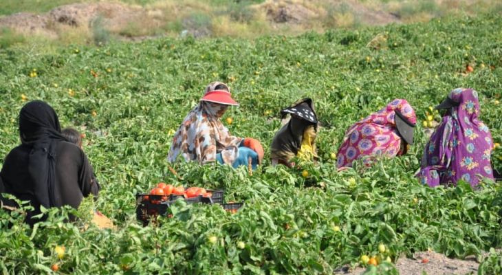 زنان کارگر رنج را زندگی می‌کنند