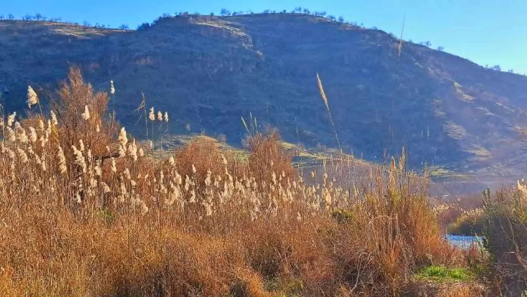 رودخانه «دهنو» در یک روز زمستانی