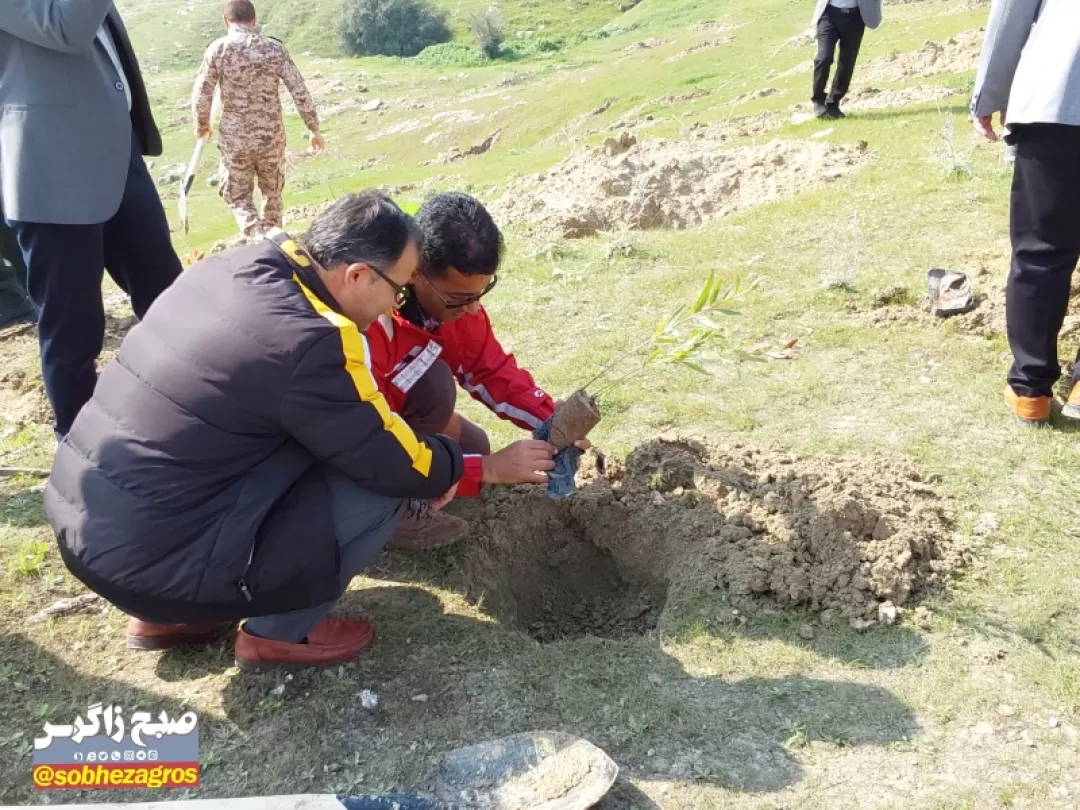 سرگچ لنده زیر کشت بذر و نهال رفت