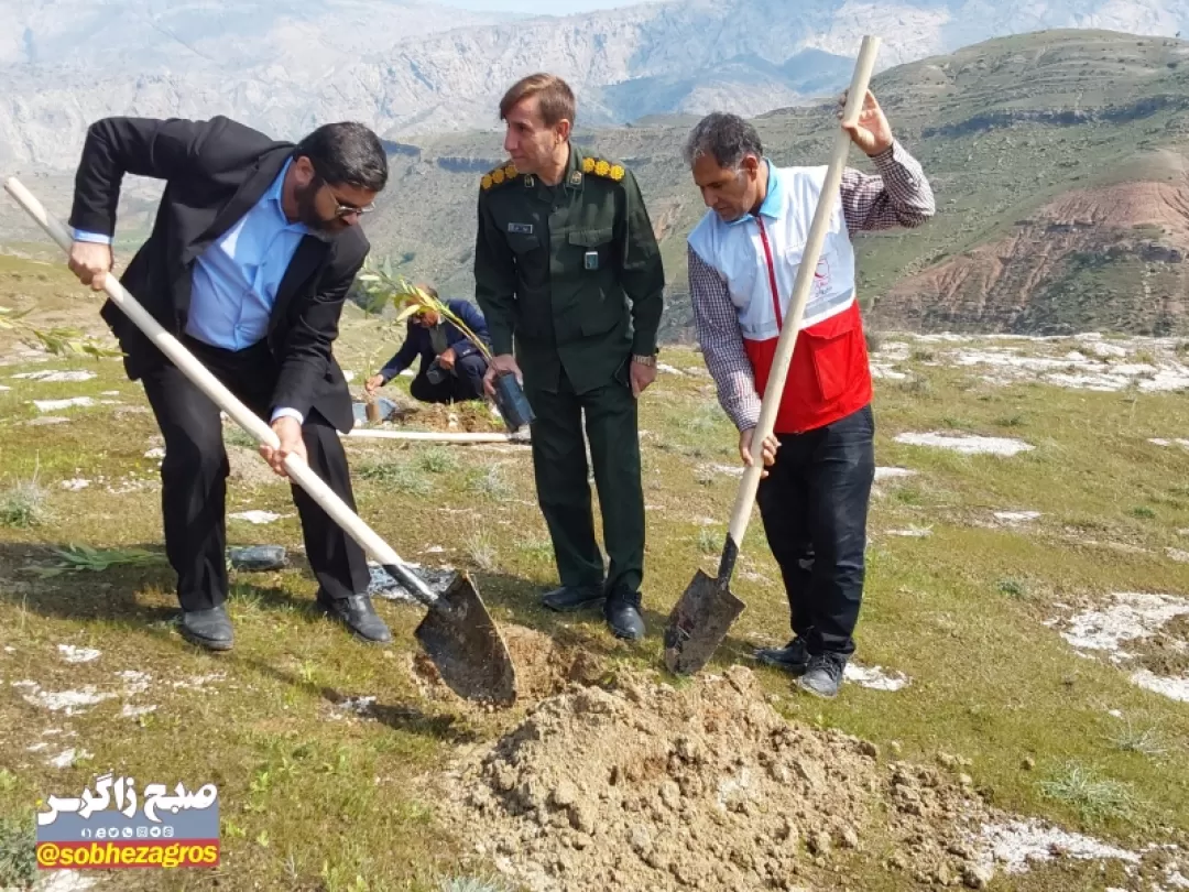 سرگچ لنده زیر کشت بذر و نهال رفت