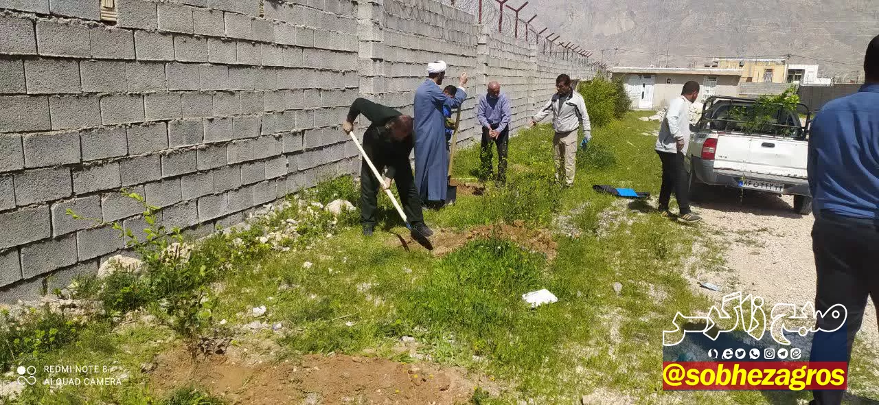 کاشت 12هزار اصله نهال در شهرستان بهمئی