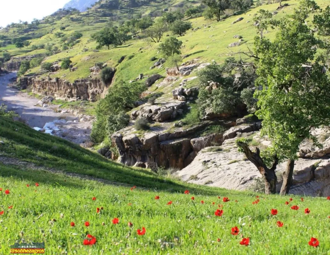 باشت سرسبز؛ مقصدی شگرف برای گردشگری