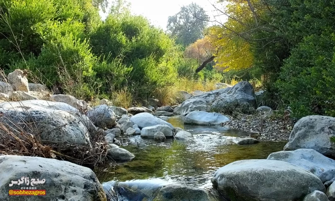 باشت سرسبز؛ مقصدی شگرف برای گردشگری