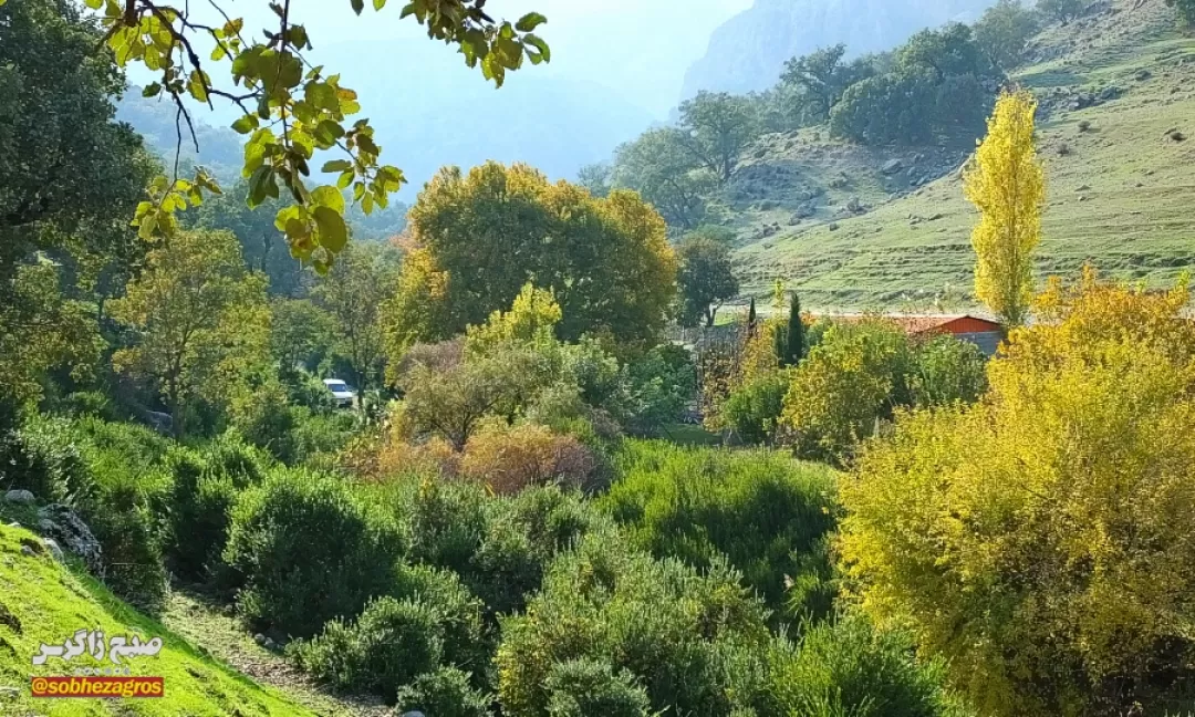 باشت سرسبز؛ مقصدی شگرف برای گردشگری