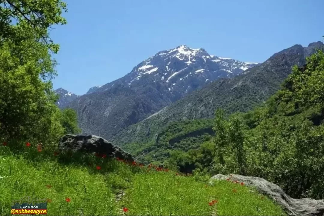 باشت سرسبز؛ مقصدی شگرف برای گردشگری