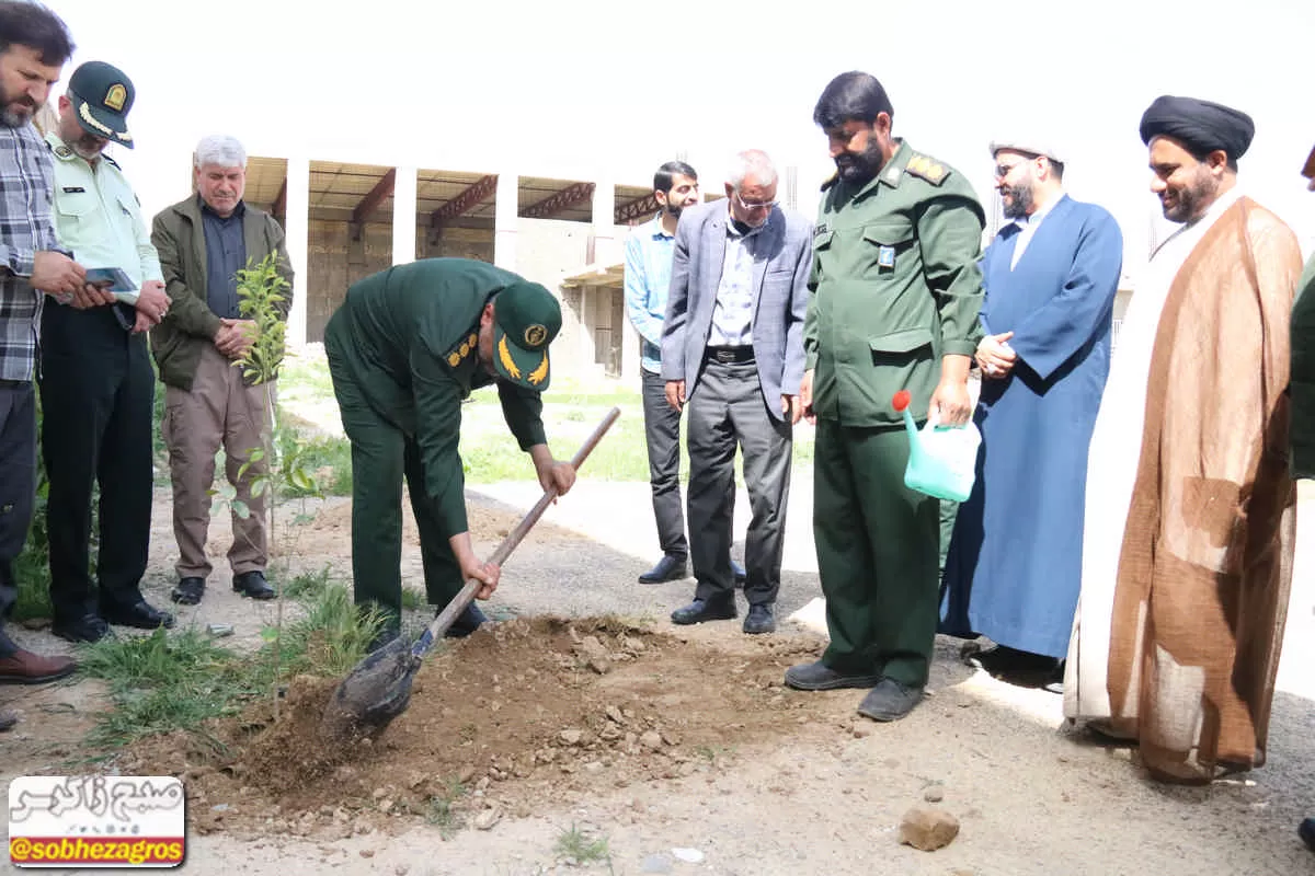 کاشت نهال به یاد شهدا در گچساران+ تصاویر