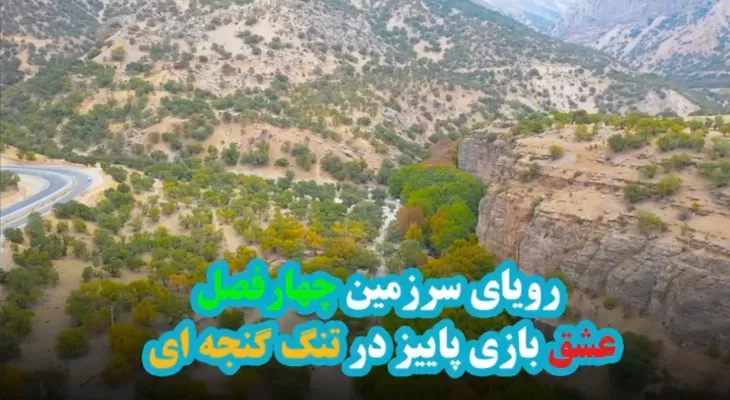 تَنگ‌گنجه‌ای گنجی گمشده در سرزمین چهارفصل