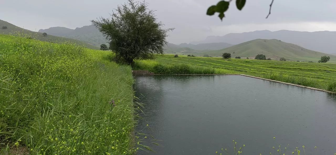 طبیعت چشم‌نواز روستای ده شیخ باشت