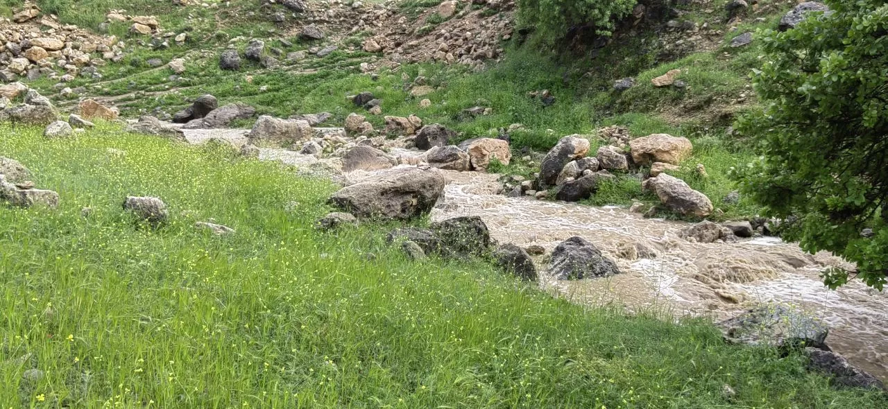 طبیعت چشم‌نواز روستای ده شیخ باشت