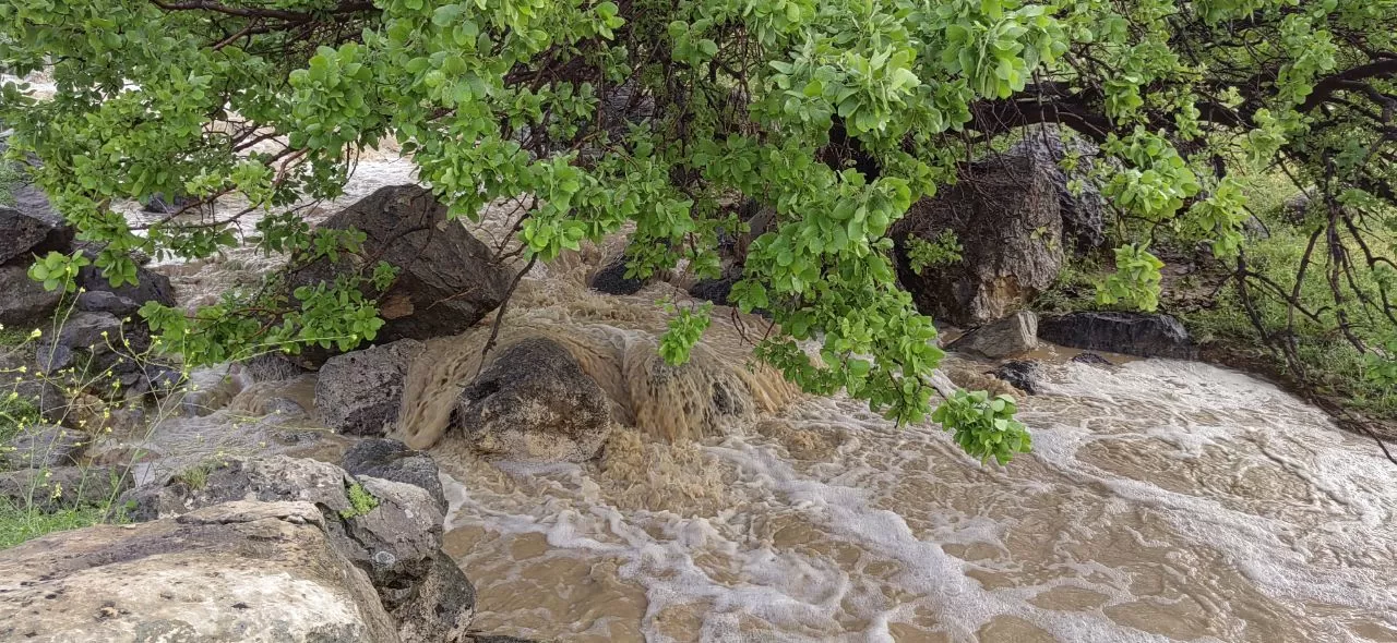 طبیعت چشم‌نواز روستای ده شیخ باشت