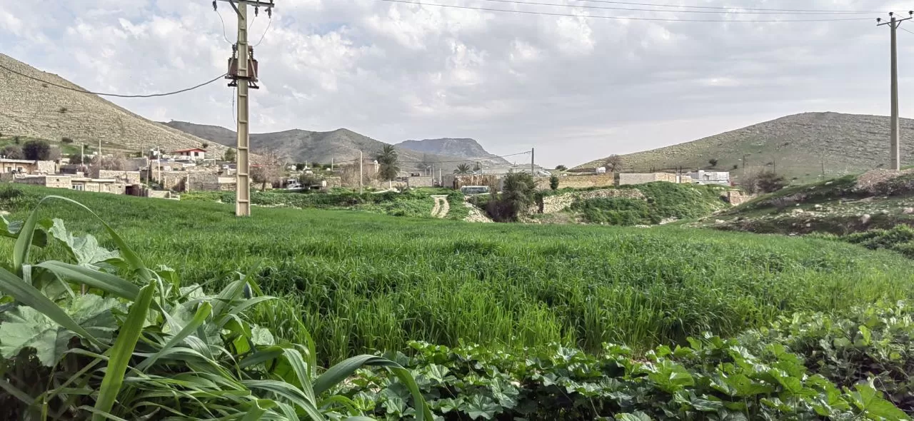 طبیعت چشم‌نواز روستای ده شیخ باشت