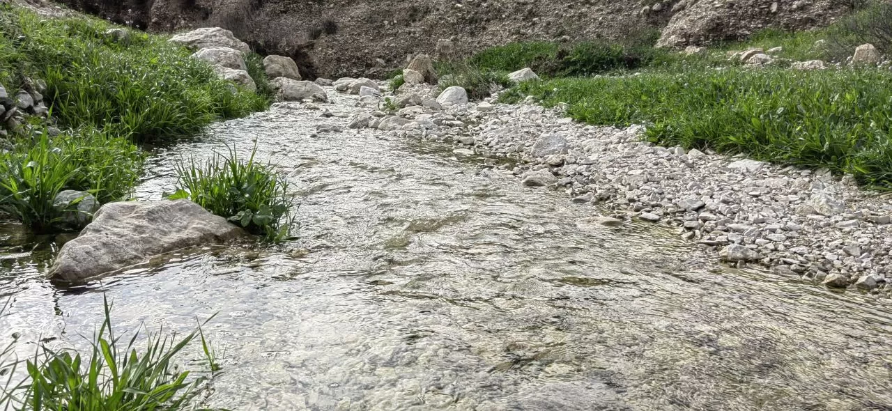 طبیعت چشم‌نواز روستای ده شیخ باشت