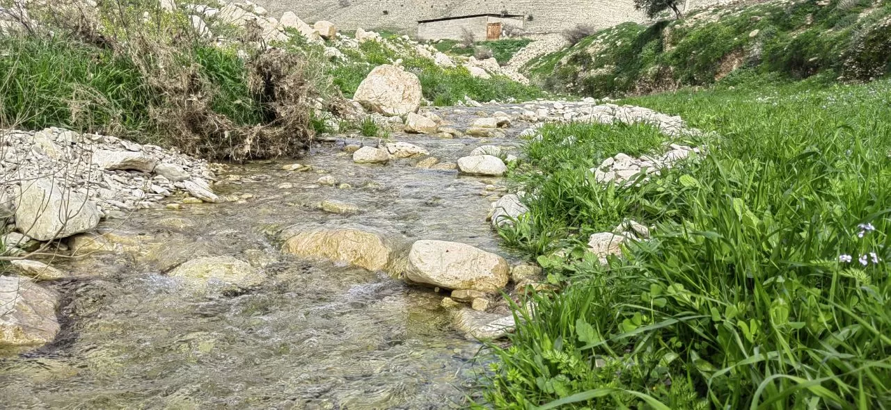 طبیعت چشم‌نواز روستای ده شیخ باشت