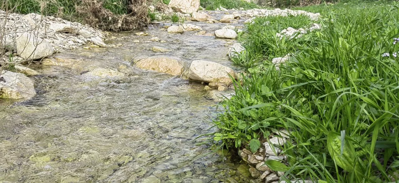 طبیعت چشم‌نواز روستای ده شیخ باشت