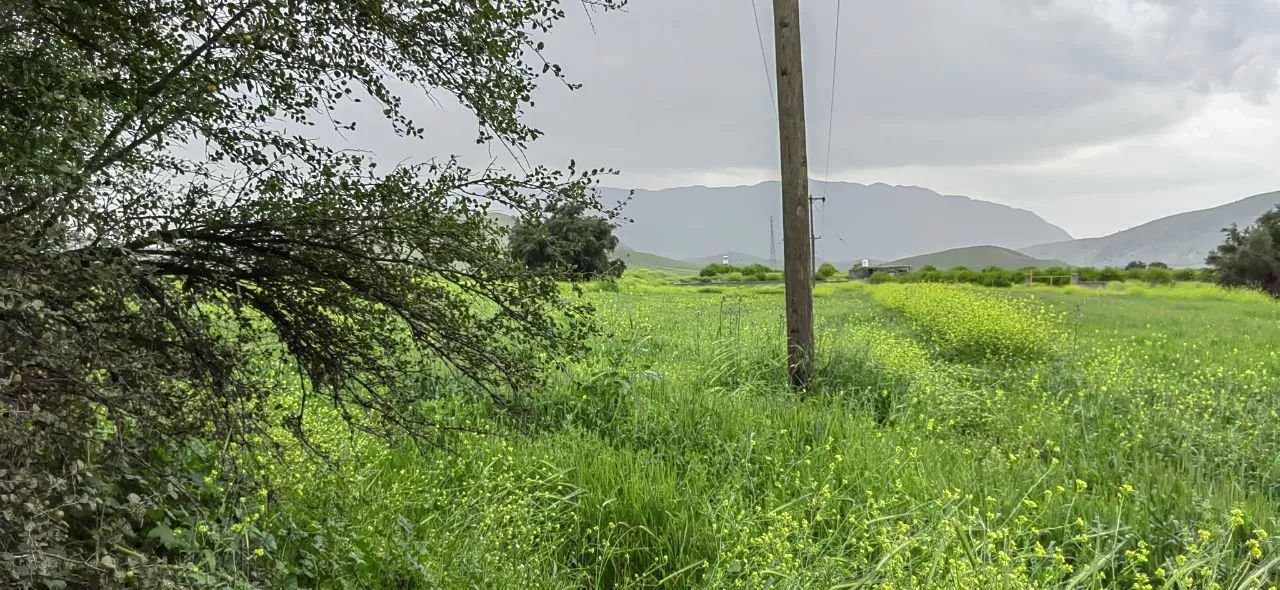 طبیعت چشم‌نواز روستای ده شیخ باشت