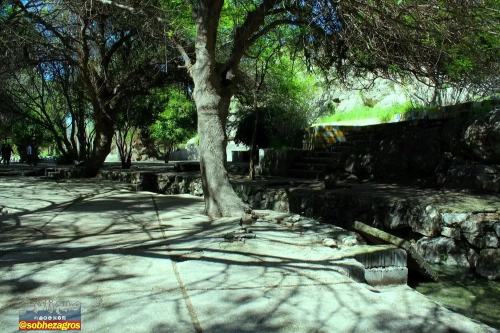 چشمه بلقیس؛ نگین سبز استان کهگیلویه‌وبویراحمد