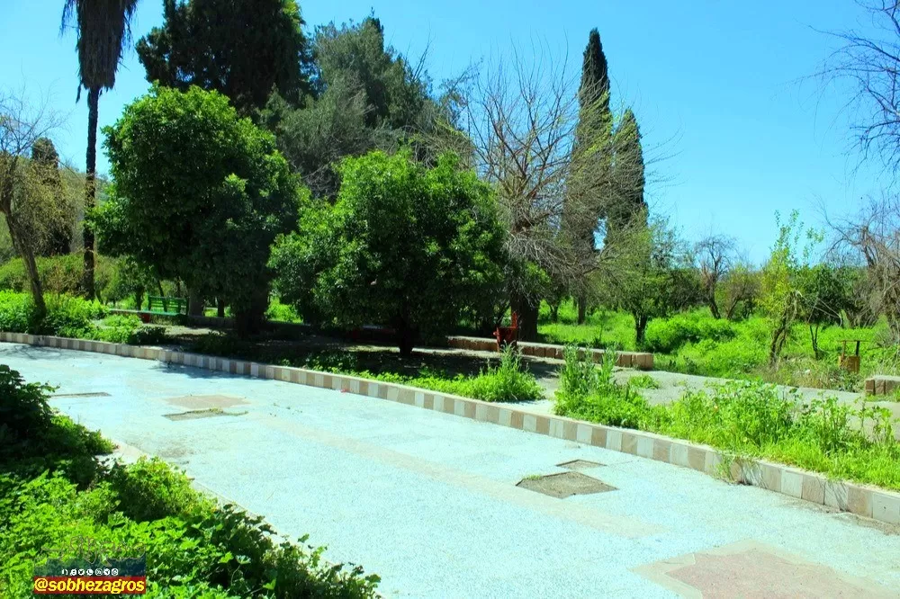 چشمه بلقیس؛ نگین سبز استان کهگیلویه‌وبویراحمد