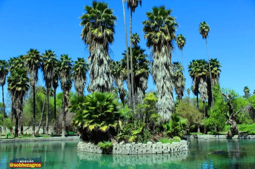 چشمه بلقیس؛ نگین سبز استان کهگیلویه‌وبویراحمد