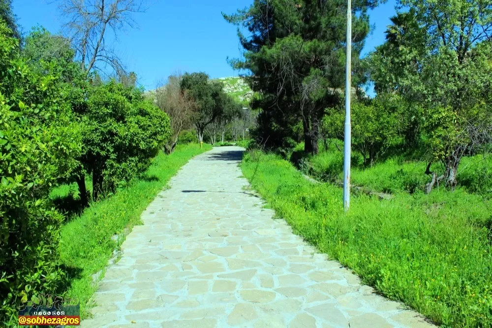 چشمه بلقیس؛ نگین سبز استان کهگیلویه‌وبویراحمد