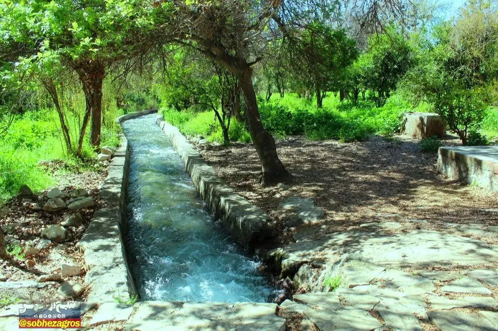 چشمه بلقیس؛ نگین سبز استان کهگیلویه‌وبویراحمد