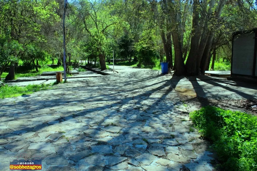 چشمه بلقیس؛ نگین سبز استان کهگیلویه‌وبویراحمد