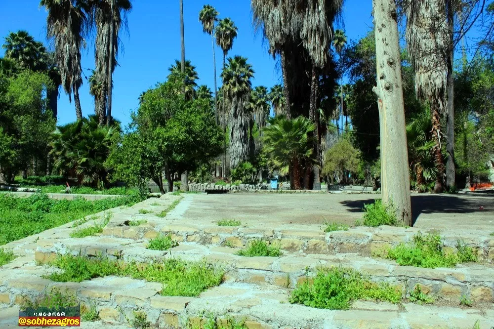 چشمه بلقیس؛ نگین سبز استان کهگیلویه‌وبویراحمد