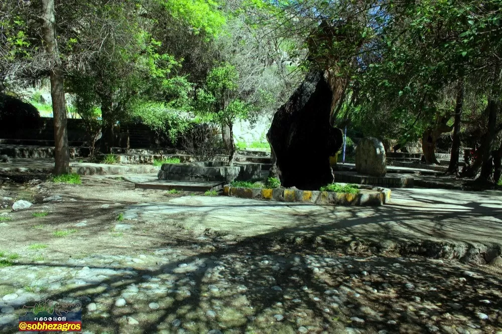 چشمه بلقیس؛ نگین سبز استان کهگیلویه‌وبویراحمد