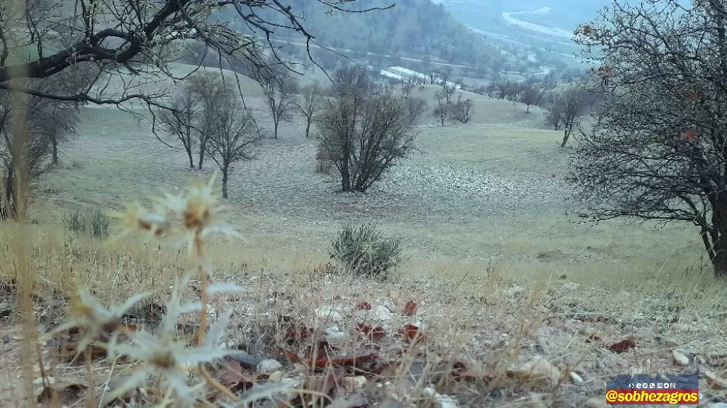 جلوه‌های باران بهاری در روستای احمدغریب پاتاوه