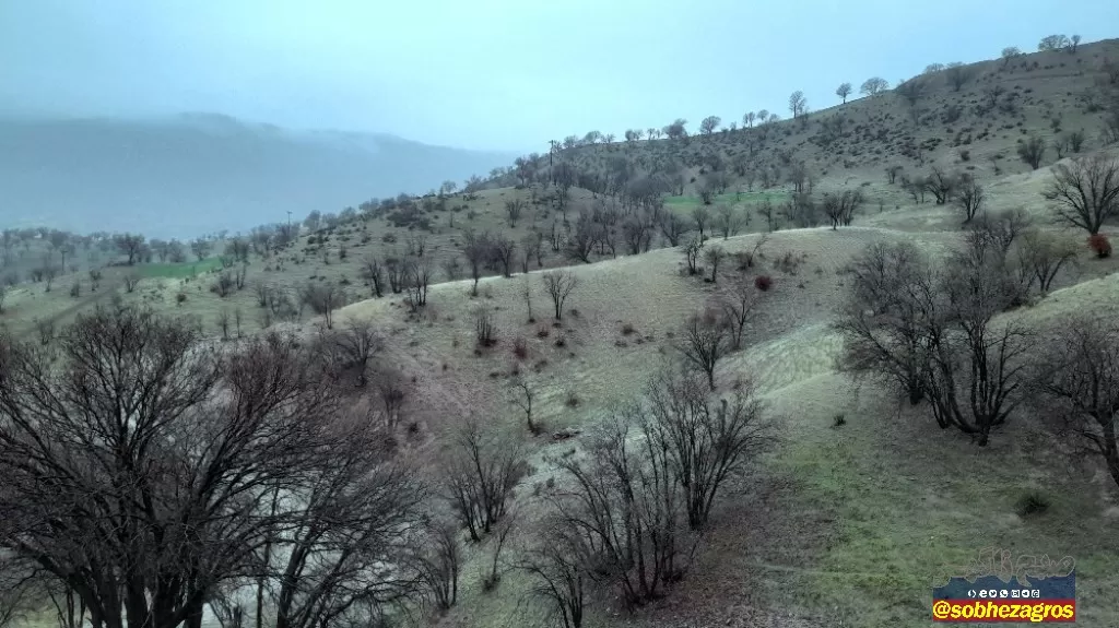 جلوه‌های باران بهاری در روستای احمدغریب پاتاوه