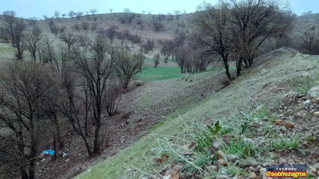 جلوه‌های باران بهاری در روستای احمدغریب پاتاوه