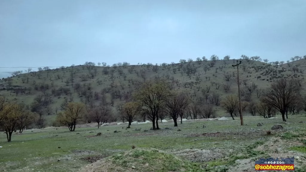 جلوه‌های باران بهاری در روستای احمدغریب پاتاوه