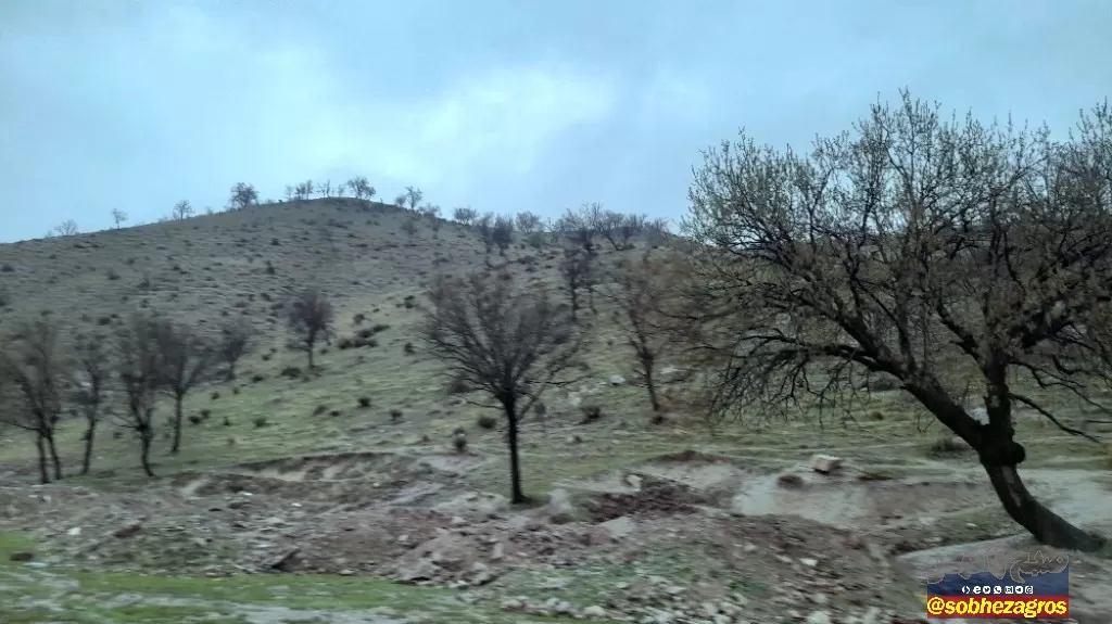 جلوه‌های باران بهاری در روستای احمدغریب پاتاوه