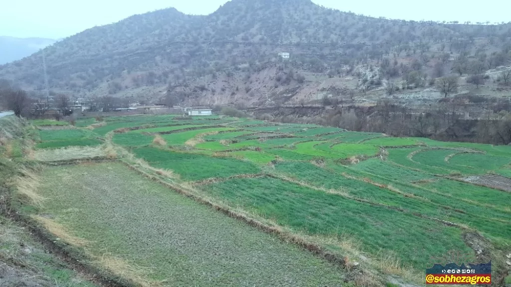 جلوه‌های باران بهاری در روستای احمدغریب پاتاوه