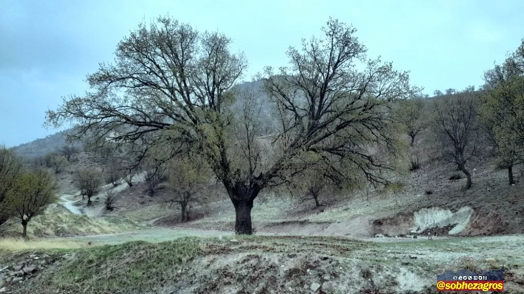 جلوه‌های باران بهاری در روستای احمدغریب پاتاوه