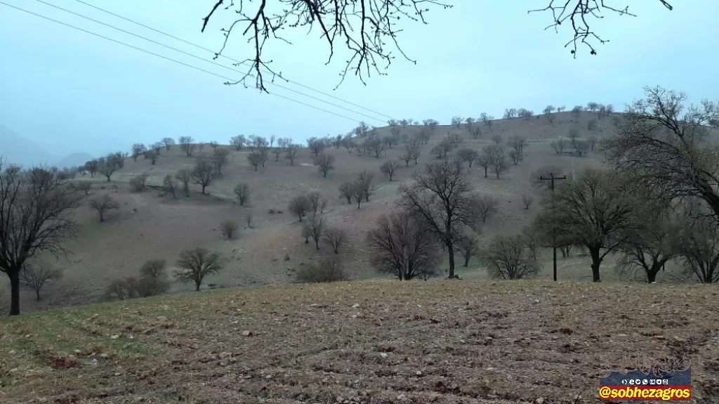 جلوه‌های باران بهاری در روستای احمدغریب پاتاوه