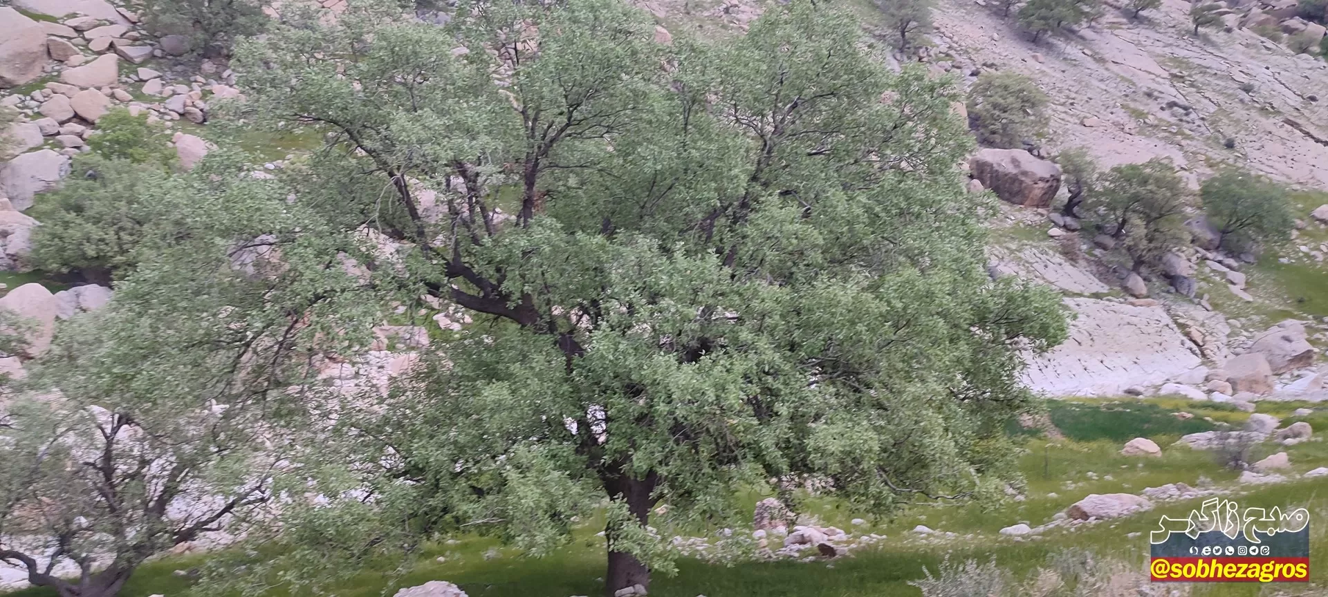 تنگ ماغر مکانی دیدنی برای مسافران نوروزی