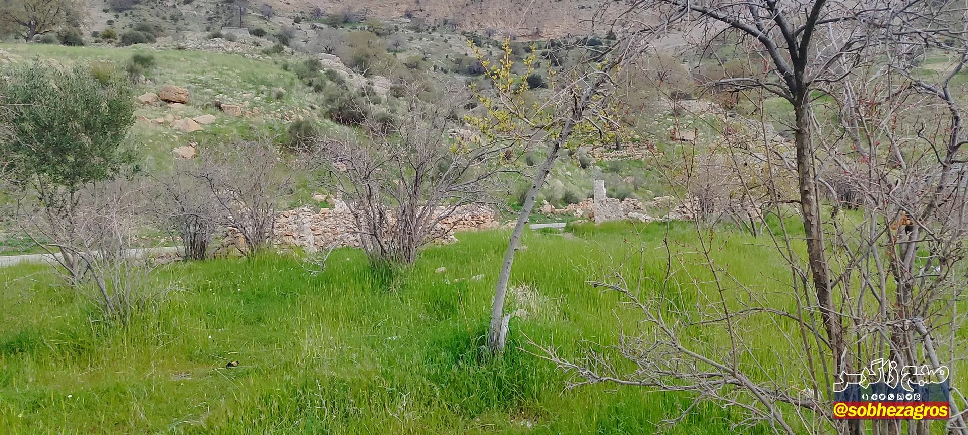 تنگ ماغر مکانی دیدنی برای مسافران نوروزی