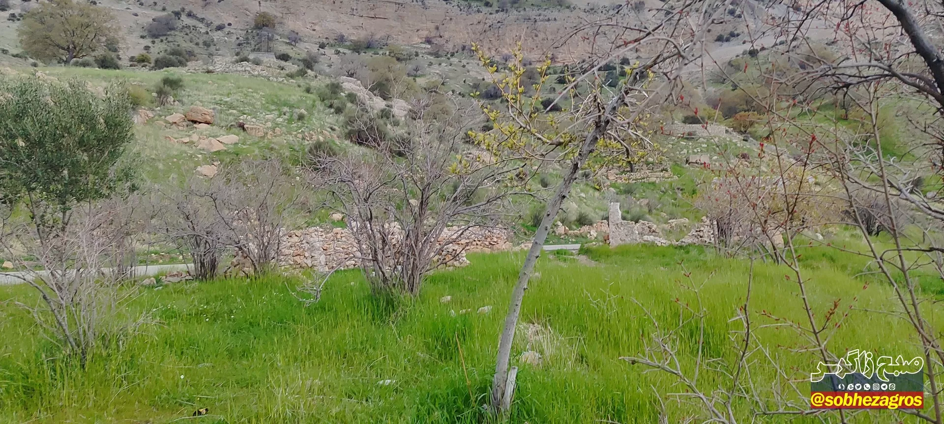 تنگ ماغر مکانی دیدنی برای مسافران نوروزی